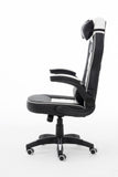 Raptor GS-50 Black/White