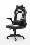 Raptor GS-50 Black/White